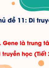 Bài 33. Gene là trung tâm của di truyền học (Tiết 2)